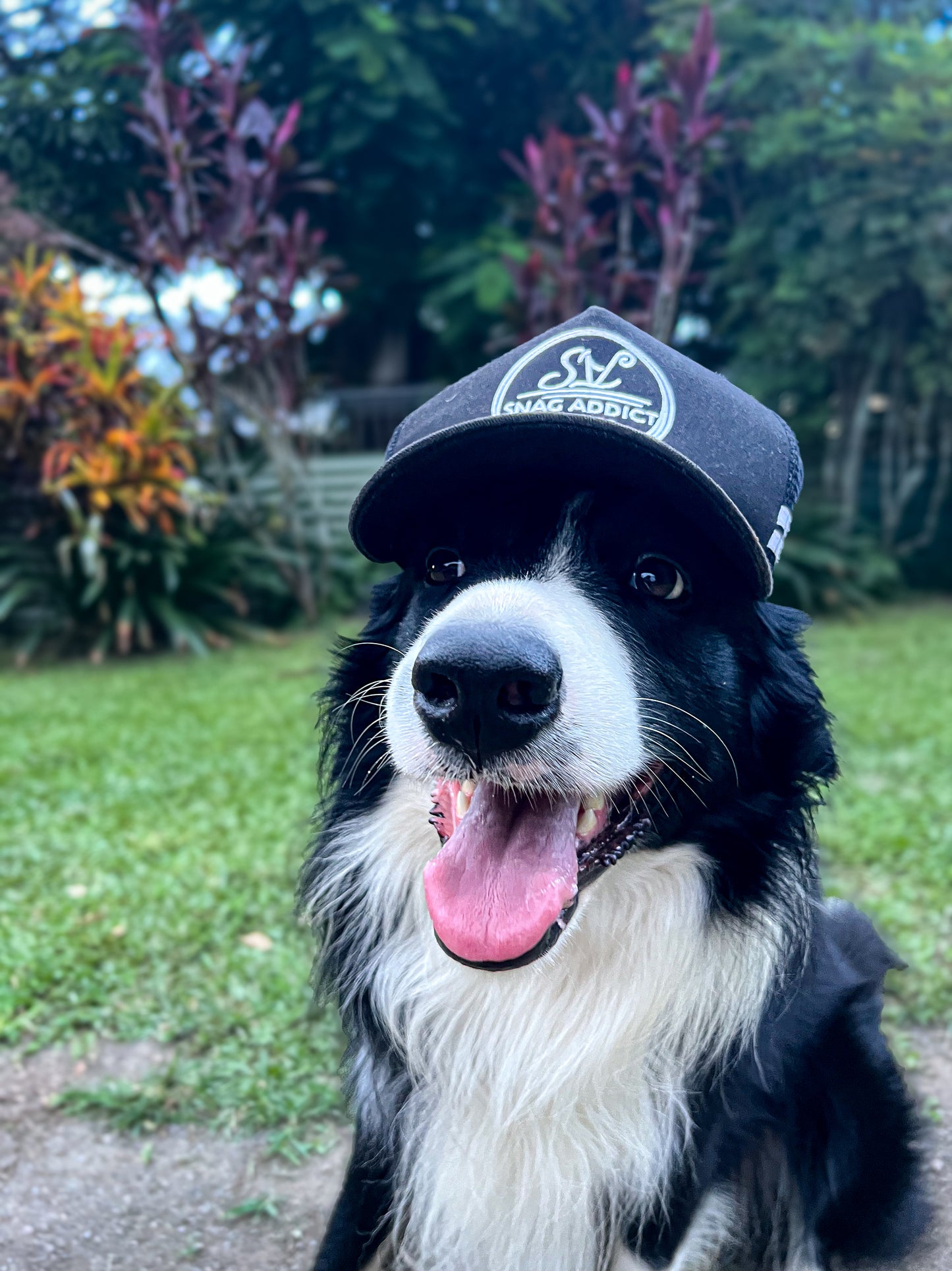 SNAG ADDICT TRUCKER CAP