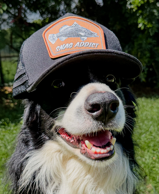 BARRA PATCH TRUCKER CAP